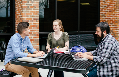 students studying together on campus